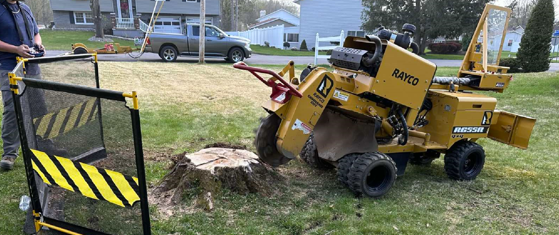 Extensive Experience in several stump grinding services | D&D Stumps