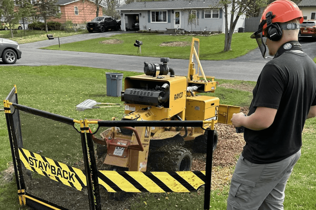 stump grinding work1