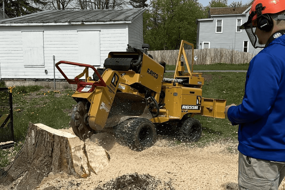 stump grinding work2