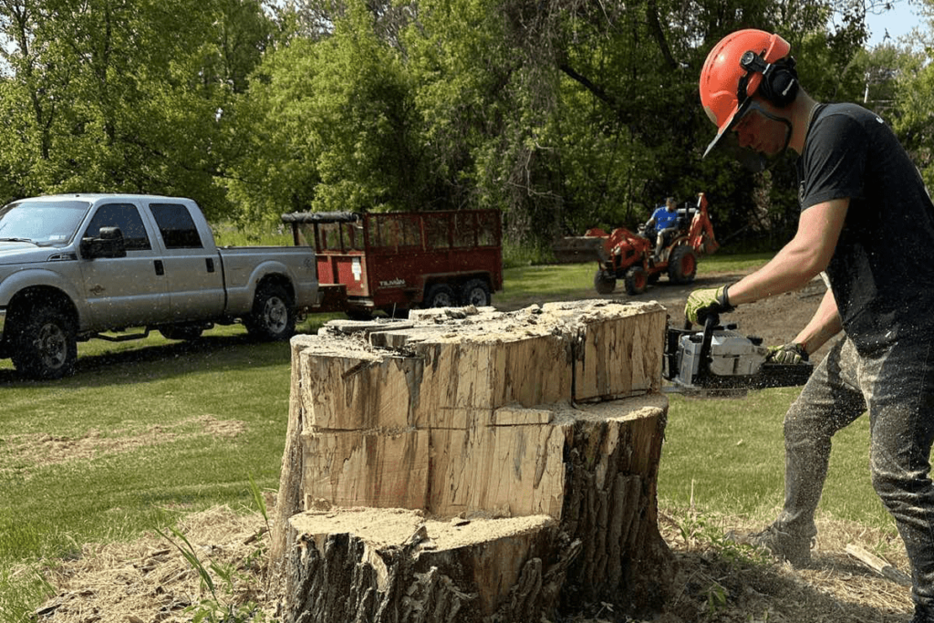 stump grinding work3