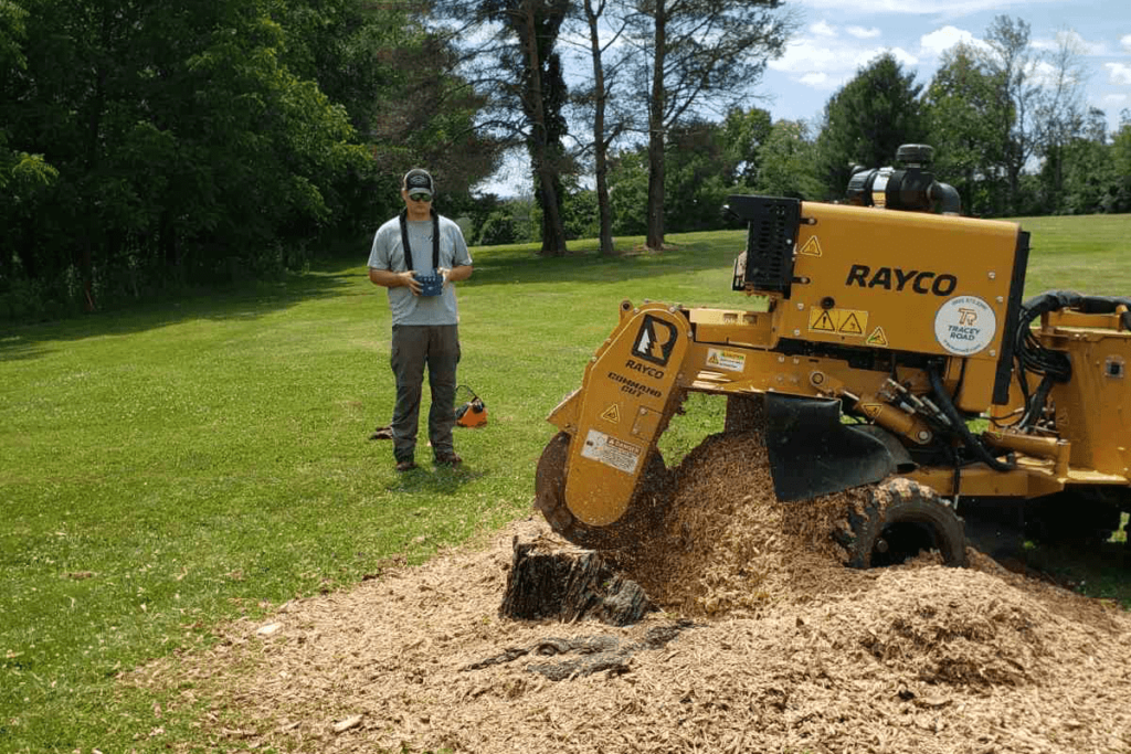 stump grinding work4