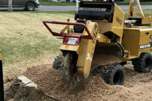 stump-grinding-work-slider3