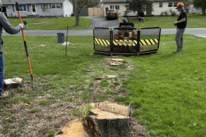 stump-grinding-work-slider1