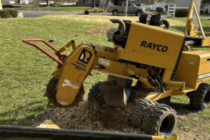 stump-grinding-work-slider4